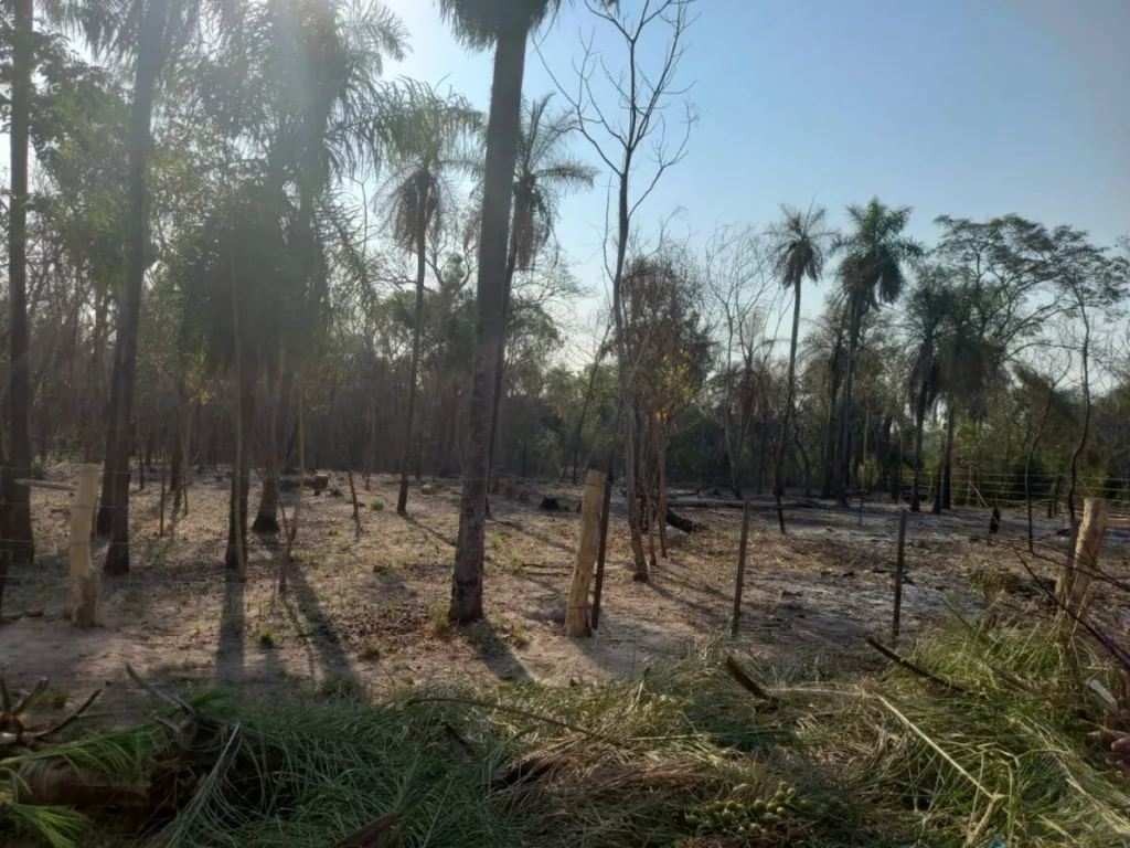 Terreno en Ciervo Cuá, San Bernardino — foto 3