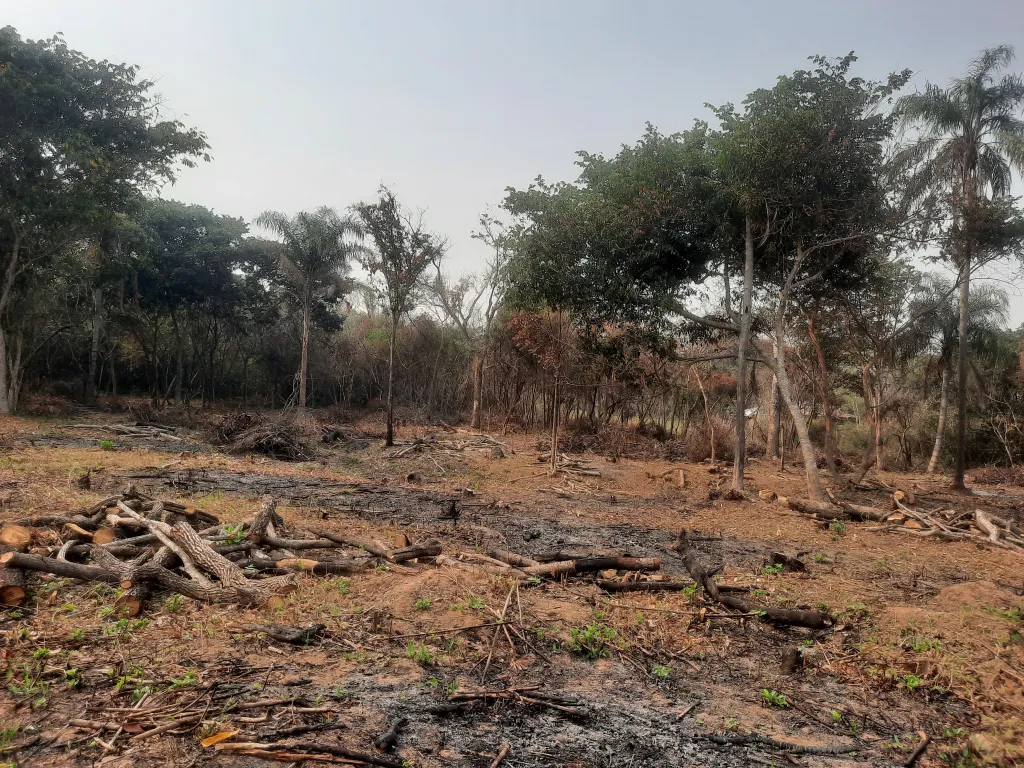 Terreno de 7 ha.en Nueva Colombia — foto 2