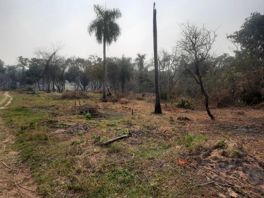 Terreno de 7 ha.en Nueva Colombia — foto 3