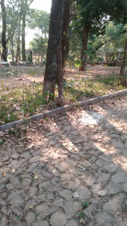 Vendo Terreno en Asunción Trinidad — foto 2