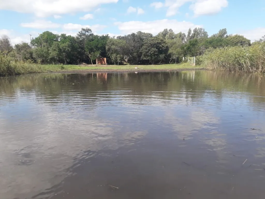 Vendo Terreno en San Bernardino Zona Ciervo Cua — foto 3