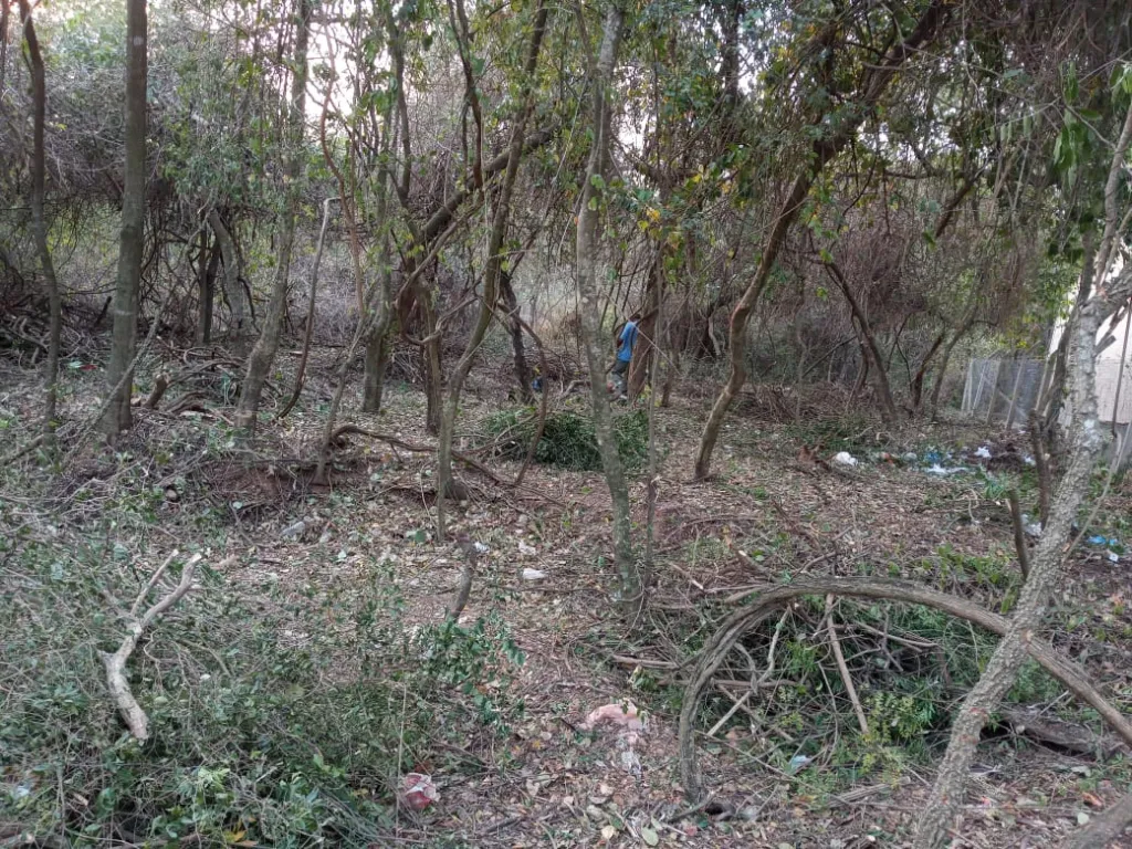 Vendo terreno en San Bernardino — foto 2