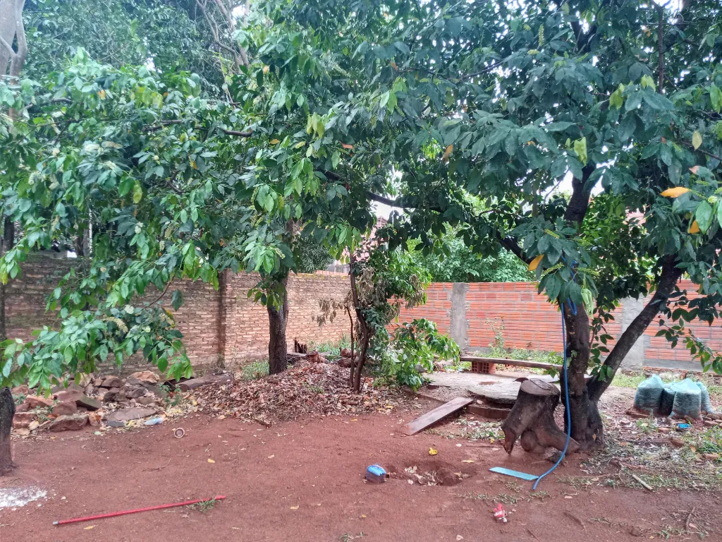 Terreno en villa Elisa — foto 3