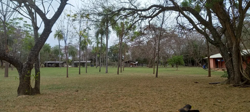 Vendo Hermosa propiedad en Nueva Colombia de 8 Has, 3.800m2. — foto 3