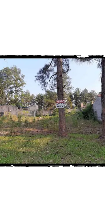 Terreno en excelente ubicacion en Sanber — foto 3