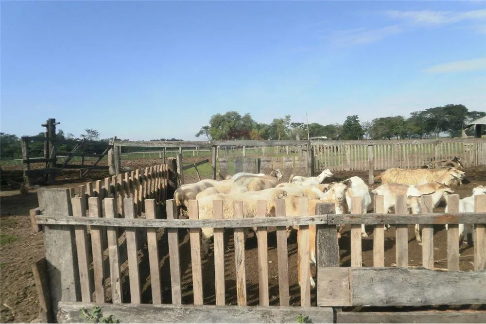 Venta de 500 HA 1,000,000 USD JUAN DE MENA CORDILLERA — foto 2