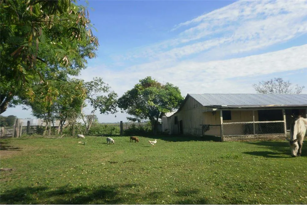 Venta de 500 HA 1,000,000 USD JUAN DE MENA CORDILLERA — foto 3