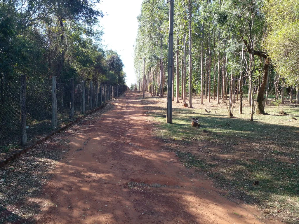 Vendo granja de 5 has. en Piribebuy – Cordillera — foto 2