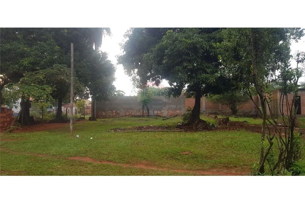 TERRENO EN LUQUE — foto 2
