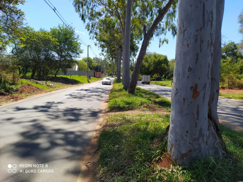 Terreno sobre Doble Avenida Vittorio Curiel — foto 2