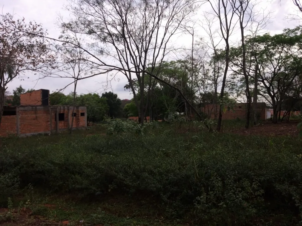 A seguir pagando — foto 2