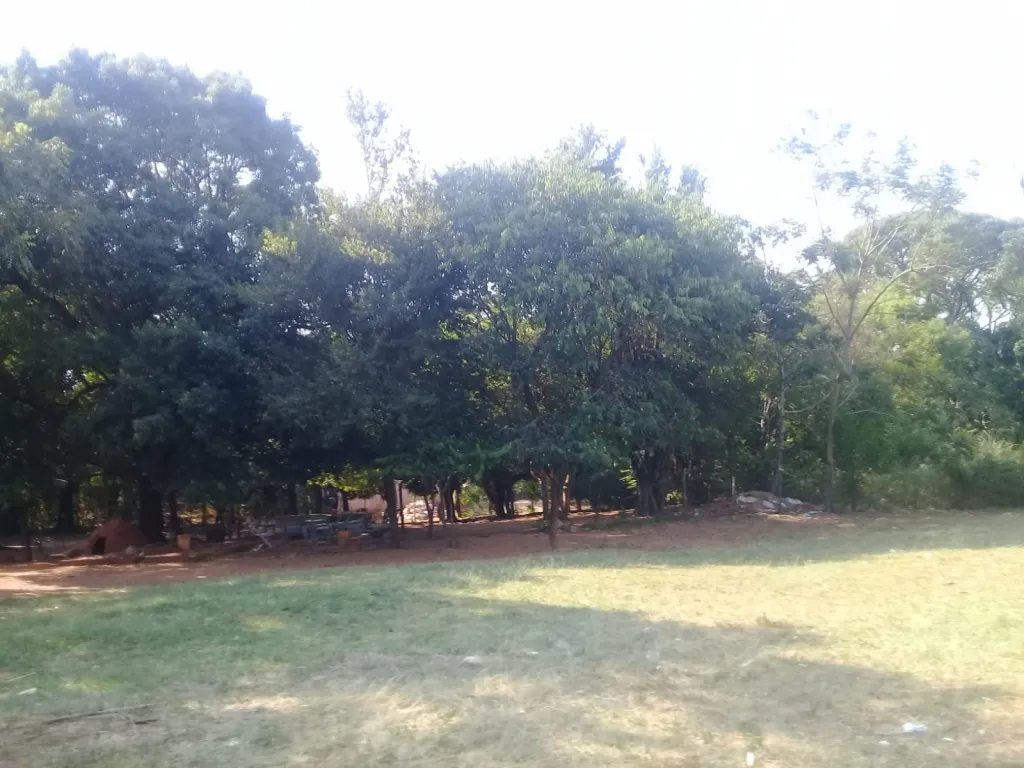 LIMPIO P INVERSIONISTAS: 5.000 M2 P EMPRENDIMIENTOS INMOBILIARIOS – 100.000 USD. — foto 2