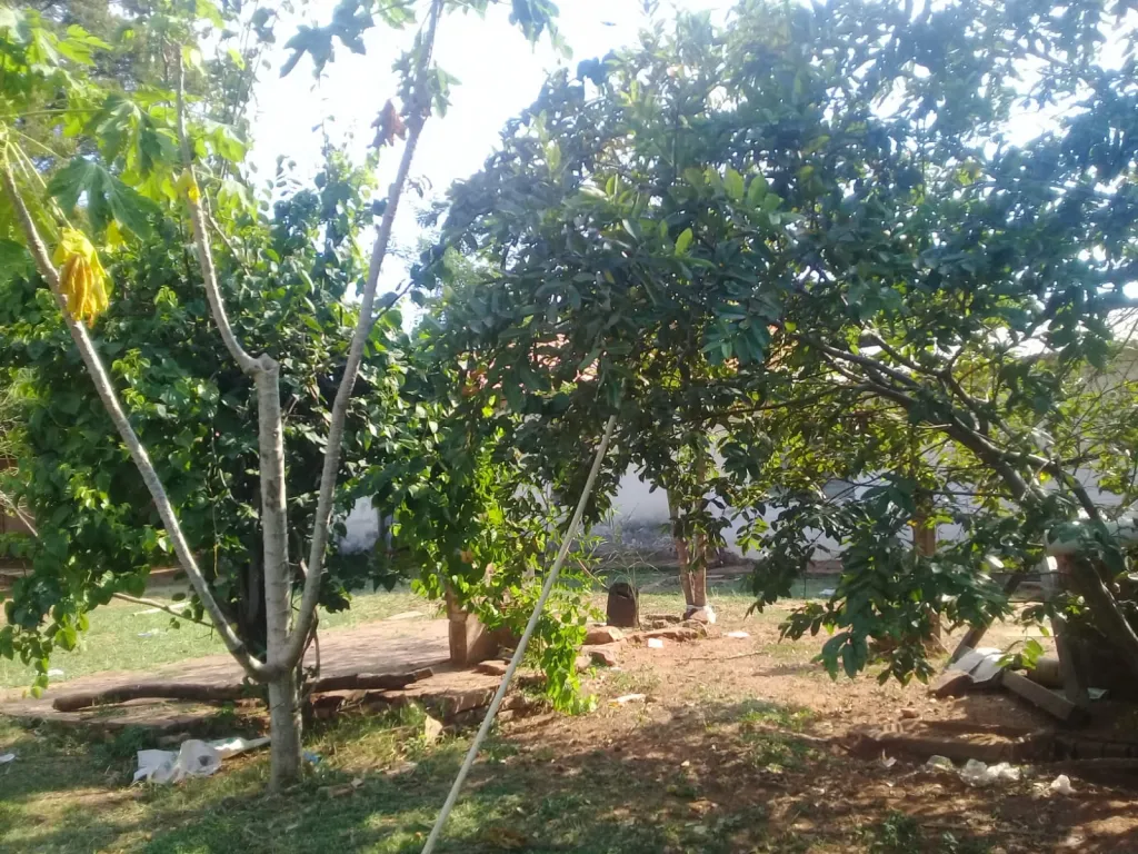LIMPIO P INVERSIONISTAS: 5.000 M2 P EMPRENDIMIENTOS INMOBILIARIOS – 100.000 USD. — foto 3