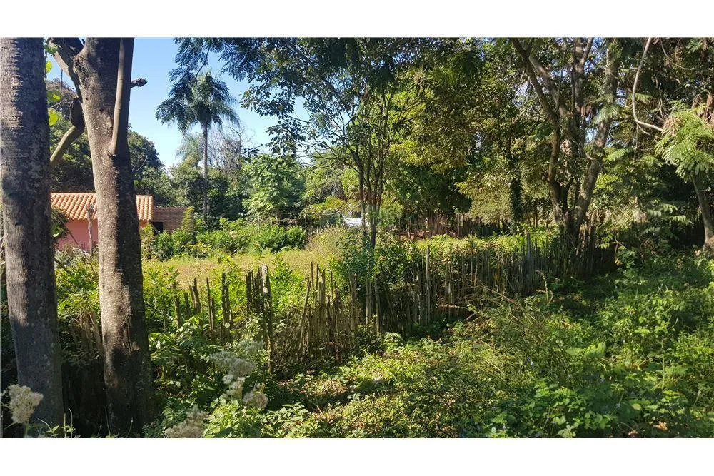 ¡TERRENO EN NUEVA COLOMBIA! — foto 2