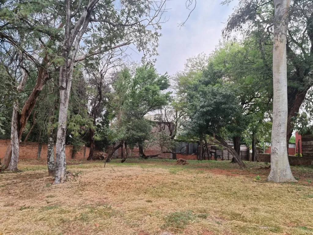 Vendo Terreno en Lambaré - Puerto Pabla — foto 2