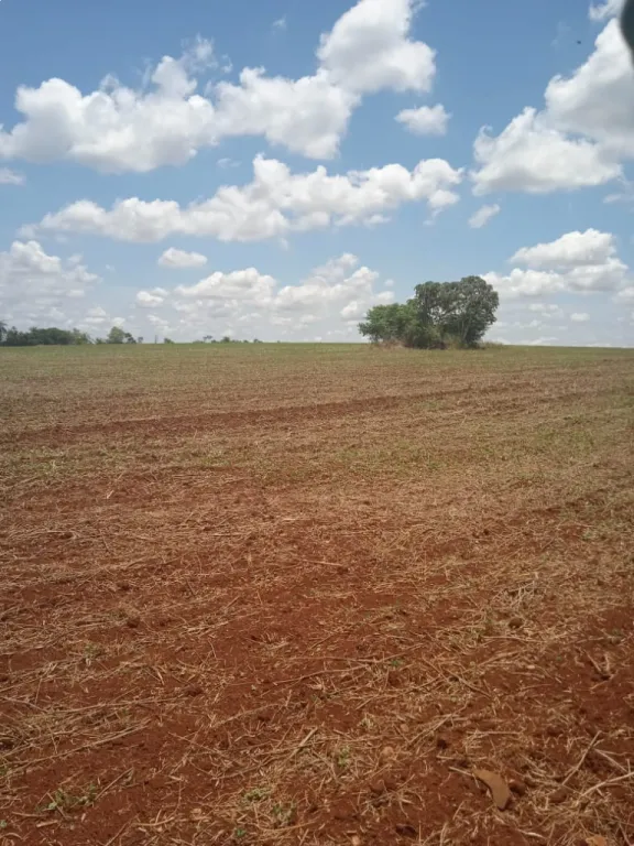 5 Hectarias a 100 metros del lago (hernandarias), (negociable). — foto 2