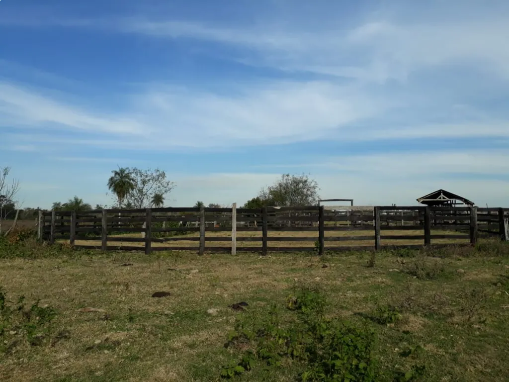 Vendo 42 2 Hectarias en caazapa colonia Yerobia buena vista — foto 2