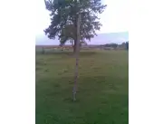 VENDO 43 HECTÁREAS EN CAAZAPA. Kapii ytindi
