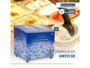CONGELADOR GOODWEATHER 213 LITROS VIDRIO CURVO !! NUEVOS CON GARANTIA ! HACEMOS DELIVERY !