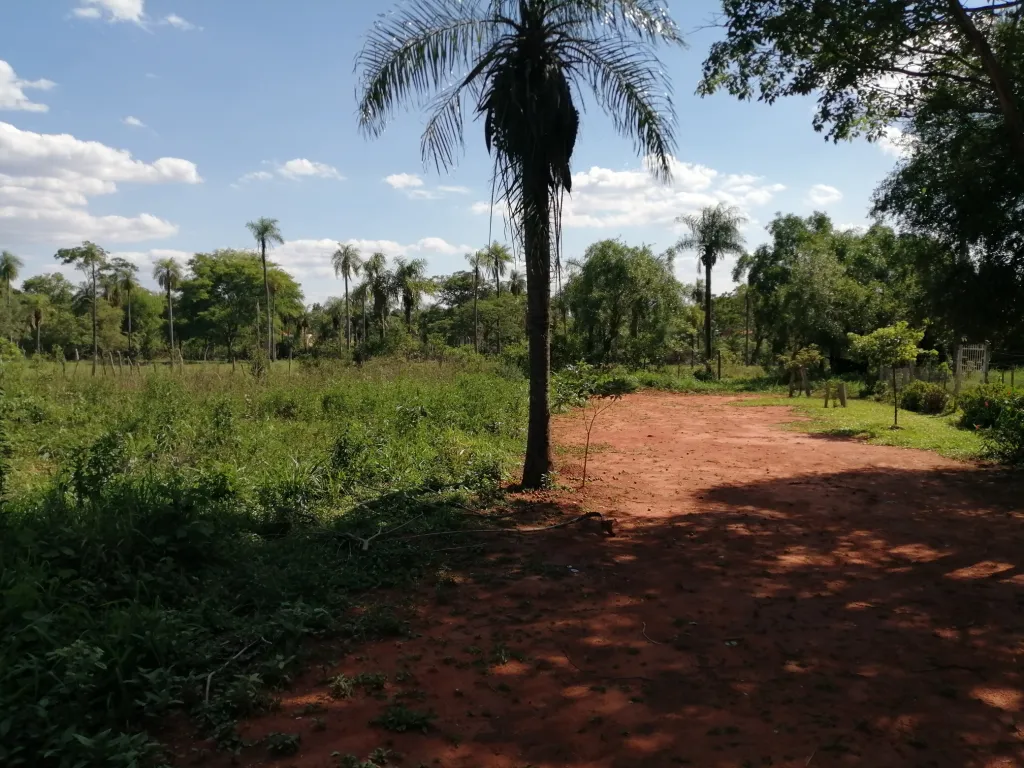 VENDO HERMOSO TERRENO ZONA ALAMO — foto 3