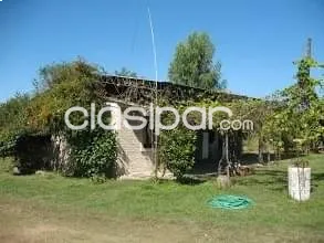 VENDO HERMOSA GRANJA EN LOMA GRANDE, NUEVA COLOMBIA — foto 3