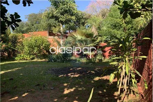 HERMOSO TERRENO AMURALLADO CON ÁRBOLES FRUTALES — foto 3