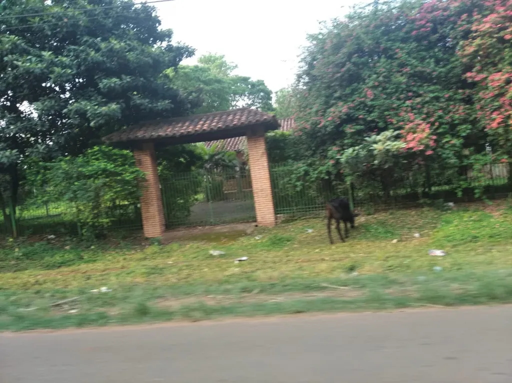 VENDO EN INMEJORABLE UBICACION 28 HECTAREAS EN YAGUARON SOBRE RUTA PRINCIPAL — foto 3