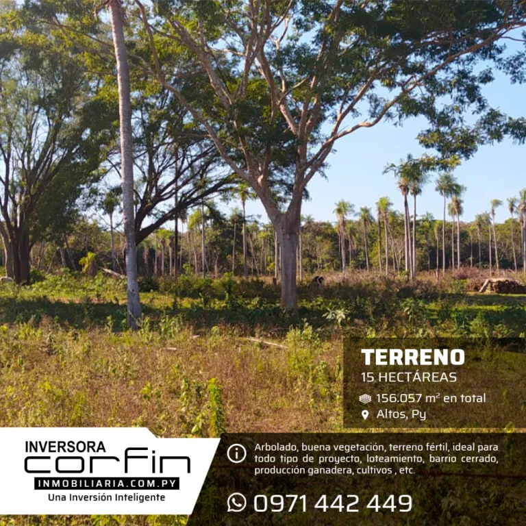 Terreno de 15 Has.,6000 m2. Altos — foto 3