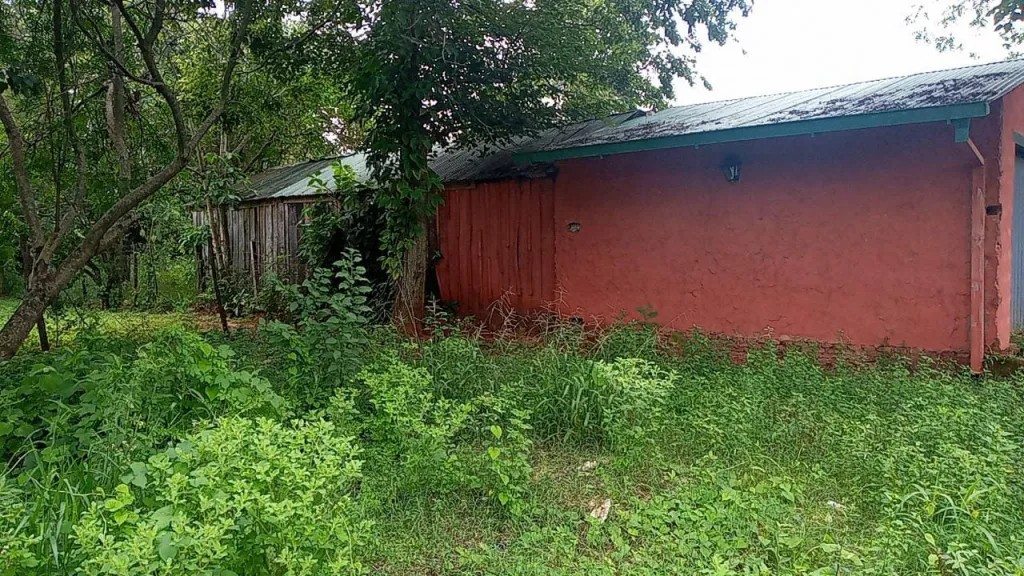 Terreno de 10 x 50 en Caaguazu titulado — foto 2