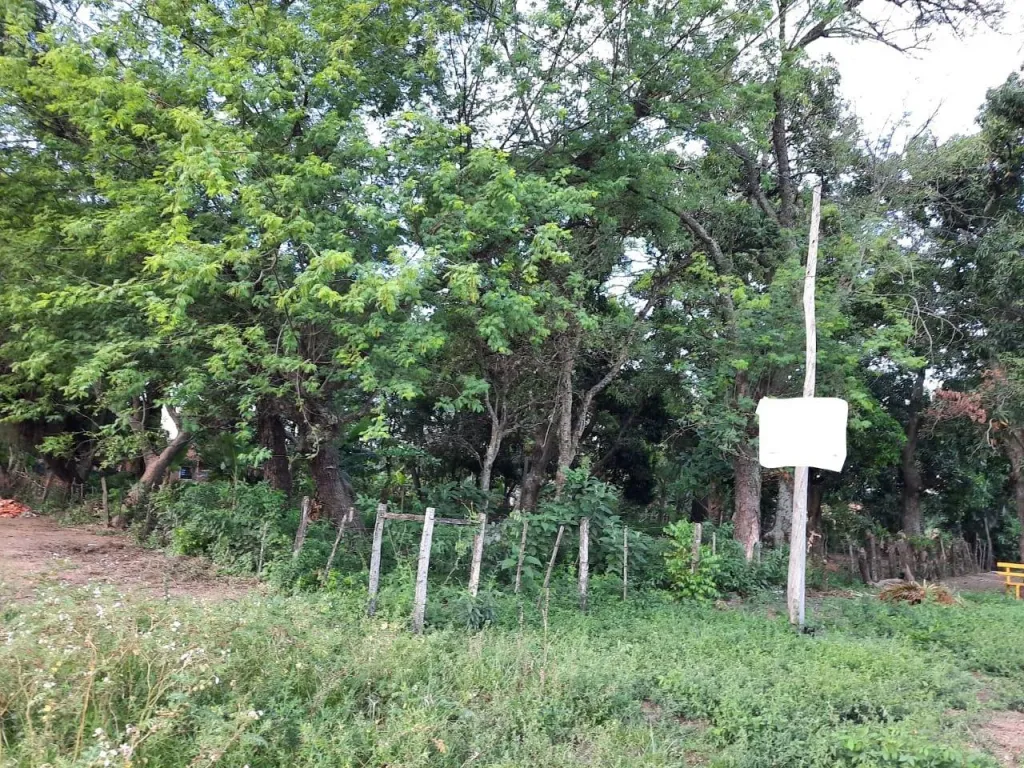 VENDO PROPIEDAD EN PIRAYU COD 3317 — foto 3