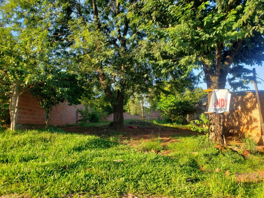Esta Udicado en la ciudad de ñemby barrio mbocayaty el terreno tiene 12 ×28 — foto 3