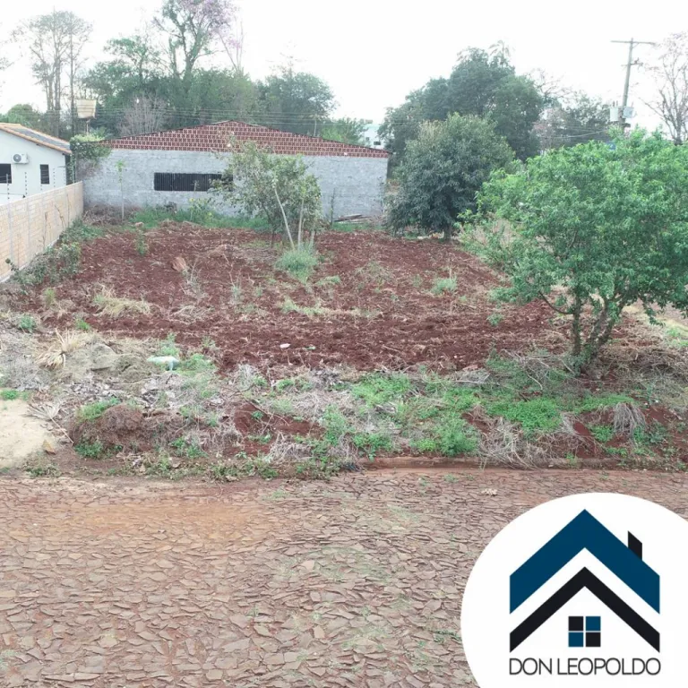 TERRENO - BARRIO SINUELO - SANTA RITA — foto 3