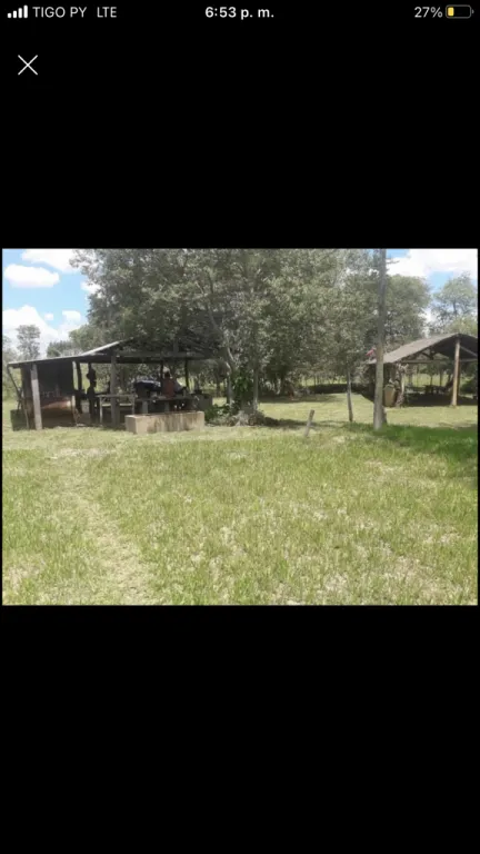 Vendo 9 hectáreas, de chakra en colonia nueva fortuna(hernandarias) — foto 2