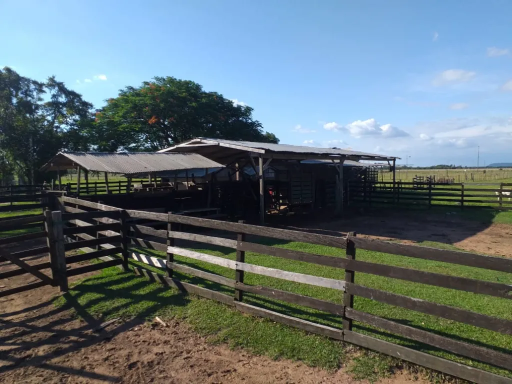 Terreno en Guairá de 180 hectáreas (180 hectare land in Guaira- Paraguay) — foto 2