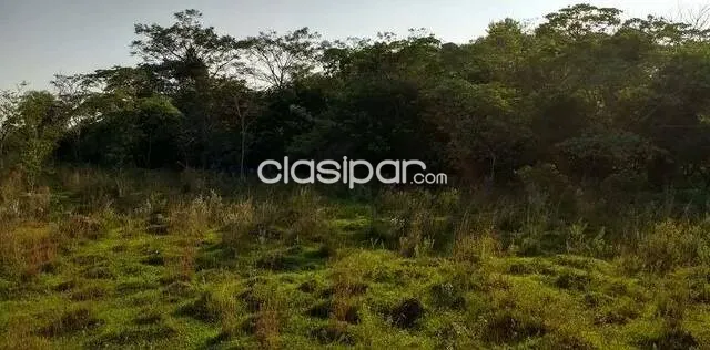 VENDO OCHO HECTÁREAS EN SAN JOSE DE LOS ARROYOS COD 3168 — foto 2