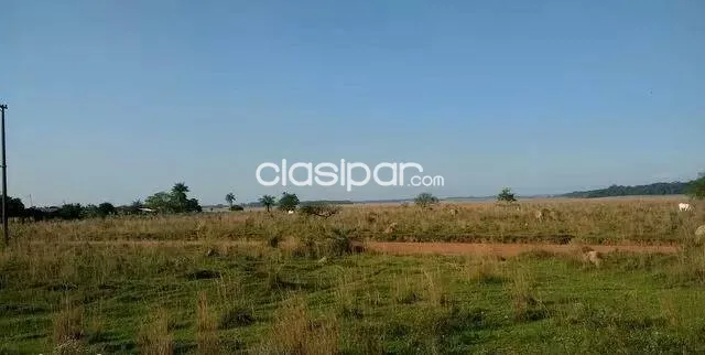 VENDO OCHO HECTÁREAS EN SAN JOSE DE LOS ARROYOS COD 3168 — foto 3