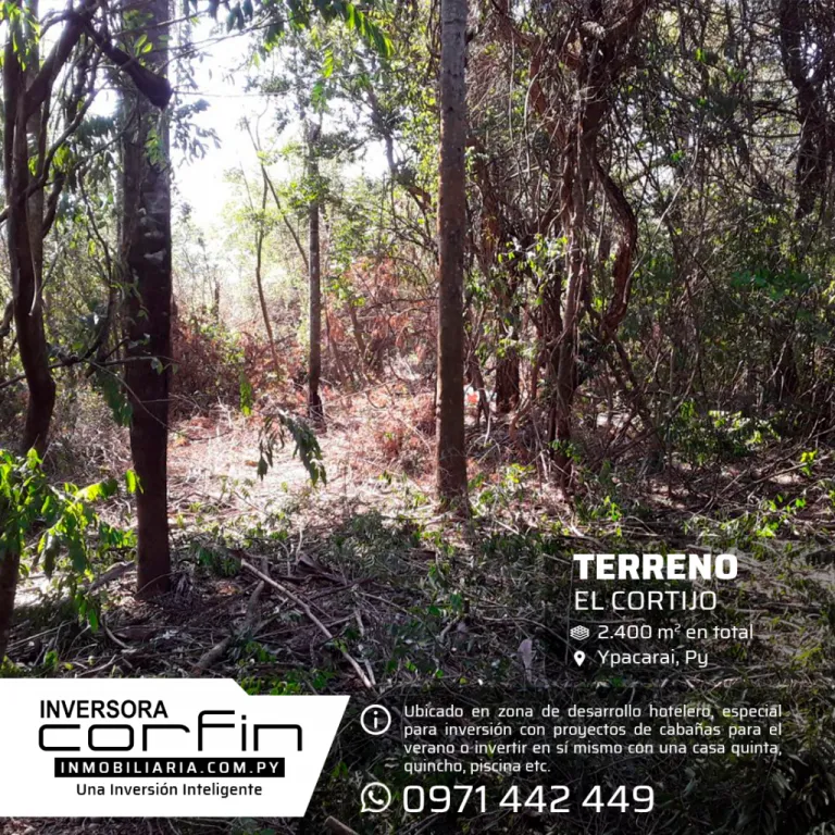 2.400m2 EL CORTIJO, 14 de hectárea, ARBOLADO,PLANO, ESPECIAL PARA INVERSION O CASA QUINTA — foto 2