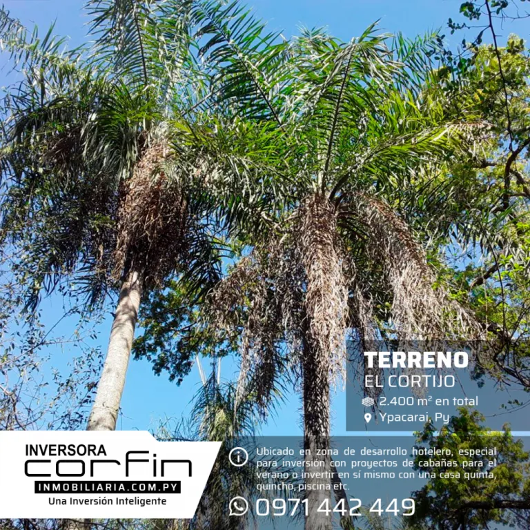 2.400m2 EL CORTIJO, 14 de hectárea, ARBOLADO,PLANO, ESPECIAL PARA INVERSION O CASA QUINTA — foto 3