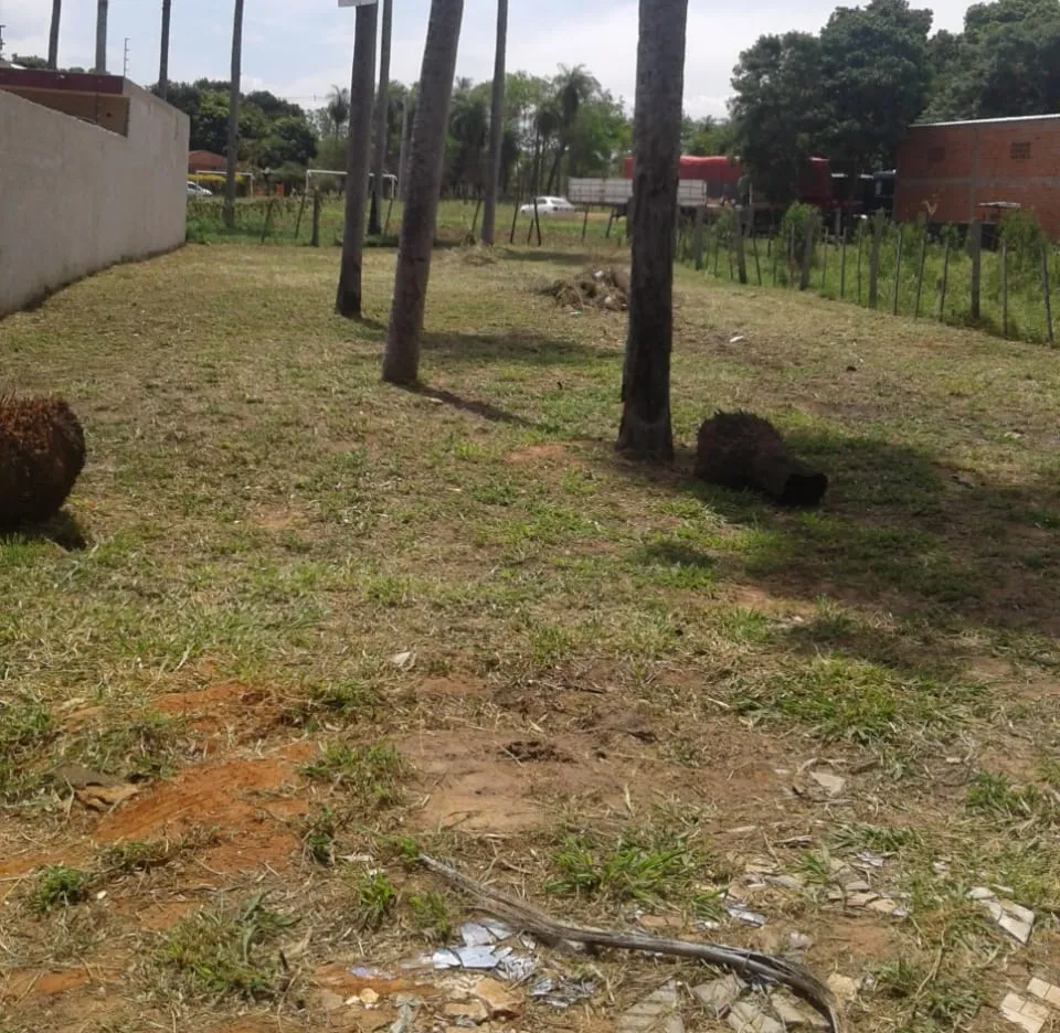 Terreno en venta en la ciudad de Luque — foto 2