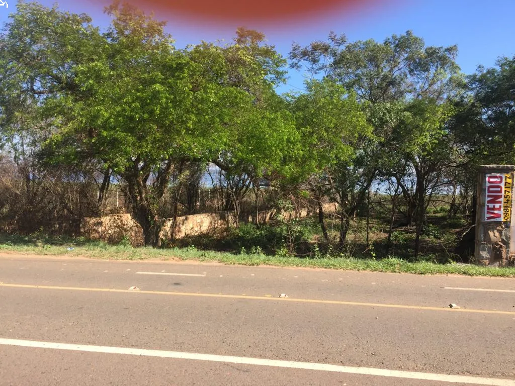 VENDO TERRENO SOBRE EL LAGO YPACARAI - SAN BERNARDINO — foto 2