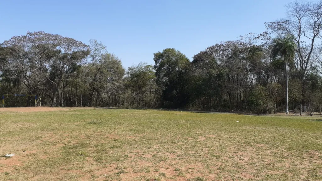 Terreno Tarumandy - Luque — foto 2