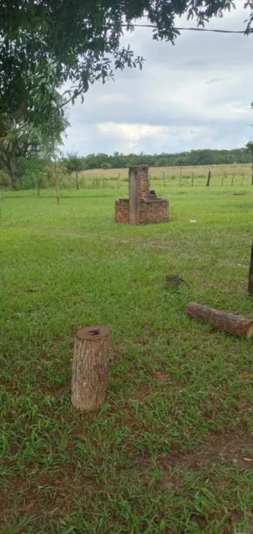 VENDO PROPIEDAD DE 1 HECTÁREA cod 027 — foto 3