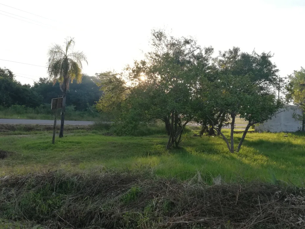 ¡IMPERDIBLE! TERRENO EN ESQUINA, FRENTE A LA RUTA ASFALTADA CAMINO A VILLETA, EN YPANÉ — foto 2