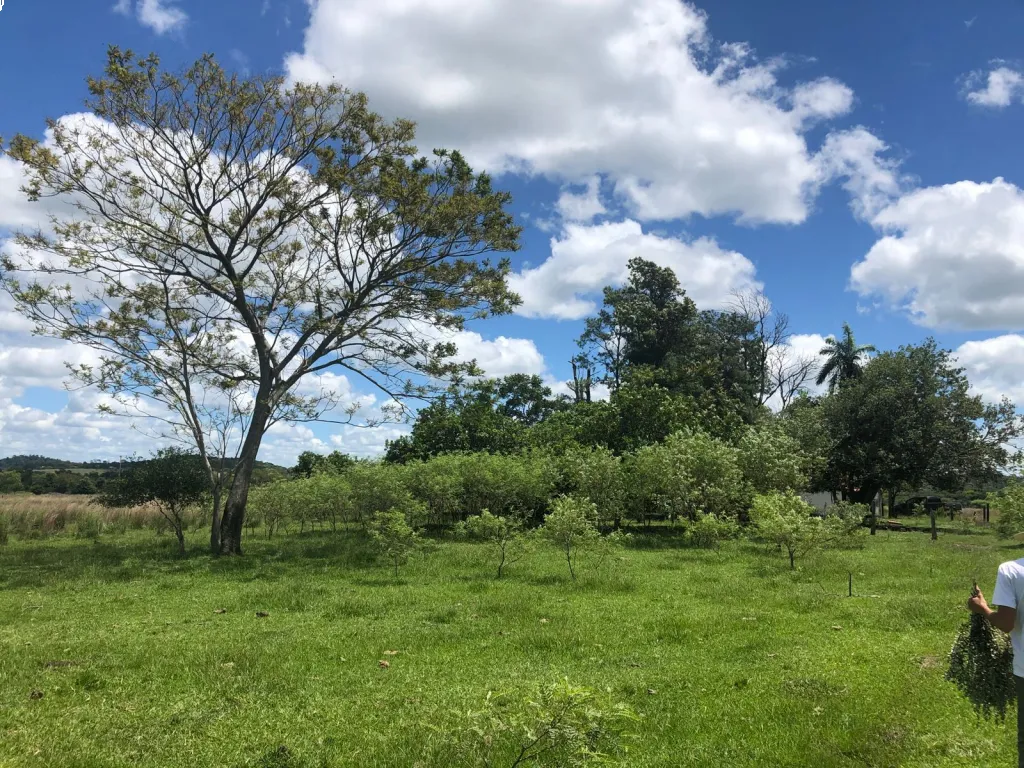 Vendo propiedad de 40 has en Caballero_Paraguari — foto 3