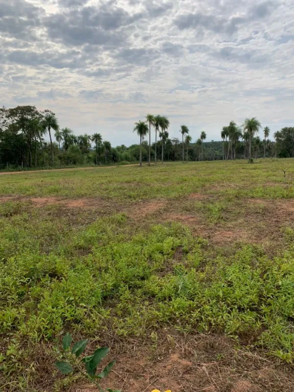 Oferta!!! Terreno increíble y con mucha armonía con la naturaleza. — foto 2