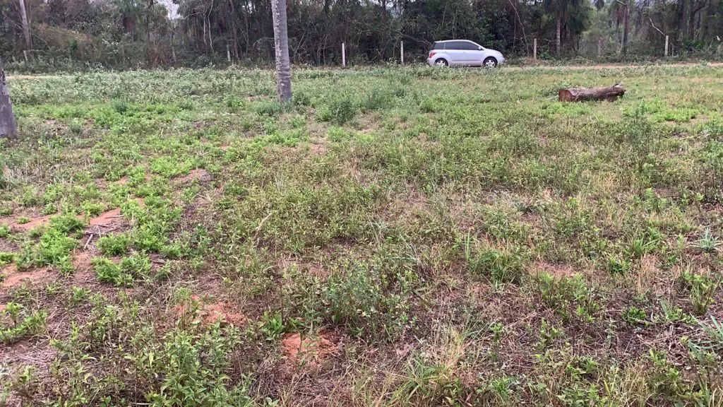 Oferta!!! Terreno increíble y con mucha armonía con la naturaleza. — foto 3