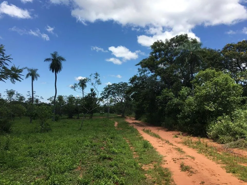 VENDO 2 HECTAREAS EN ITAUGUA — foto 2