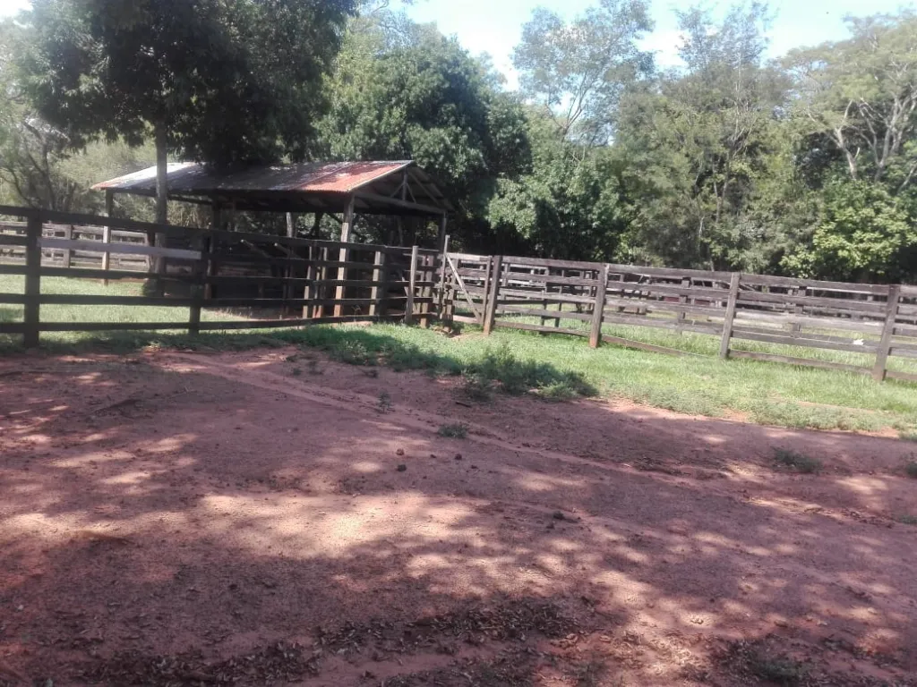 ITAPUA, CNEL. BOGADO, ISLA ALTA: 229 HECTÁREAS AGROGANAEDRAS, 20.000.000 GS HA. — foto 3