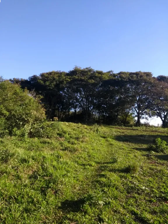 2,5 Hectáreas con Naciente de Agua — foto 3