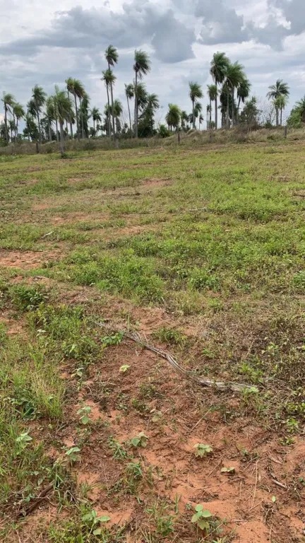Vendo Hermoso terreno en Itaugua — foto 3